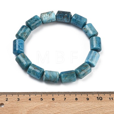 Column Natural Apatite Beads Stretch Bracelets for Women Men BJEW-A148-01A-18-1