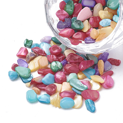 Shell Beads SHEL-R020-M-1
