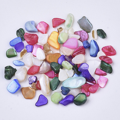 Natural Freshwater Shell Beads SHEL-N003-03-1
