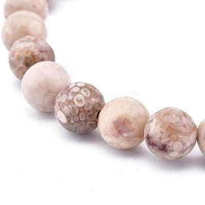 Natural Maifanite/Maifan Stone Bead Stretch Bracelets BJEW-K212-C-044-1