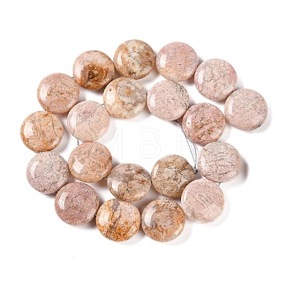 Natural Cherry Blossom Agate Beads Strands G-L246-24-1