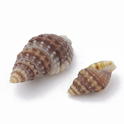 Sea Shell Beads SSHEL-S258-03-1