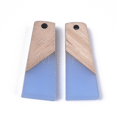 Resin & Wood Pendants RESI-S358-59E-1