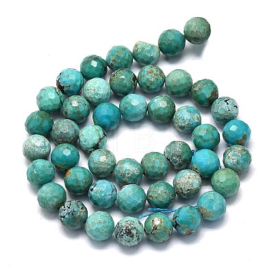 Natural HuBei Turquoise Beads Strands G-G106-C12-08-1