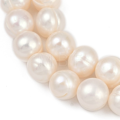 Natural Cultured Freshwater Pearl Beads Strands PEAR-I007-07Z-03C-01-1