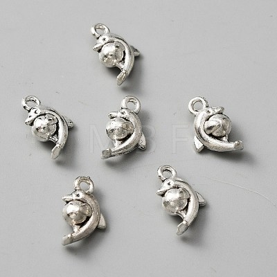 Tibetan Style Alloy Charms FIND-CJC0007-60-1