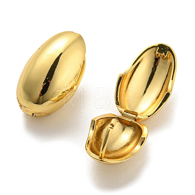 Egg Hoop Earrings EJEW-G355-10G-1