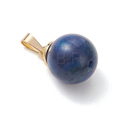 4Pcs 4 Styles Natural Lapis Lazuli & Carnelian & Tiger Eye & Picture Jasper Pendants PALLOY-JF05228-1