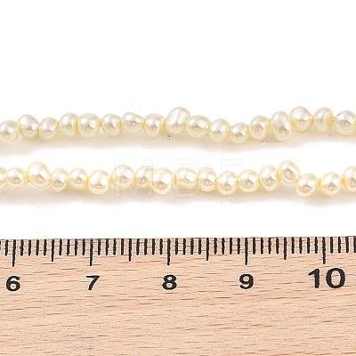 Electroplated Shell Pearl Beads Strands BSHE-C006-05A-1