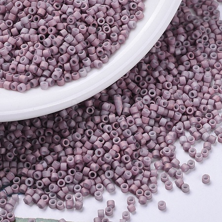 MIYUKI Delica Beads X-SEED-J020-DB0379-1