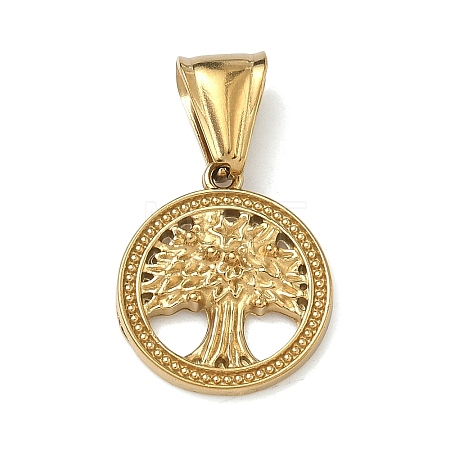304 Stainless Steel Pendants STAS-D225-11G-1