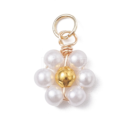 Acrylic Flower Charms PALLOY-JF02559-1