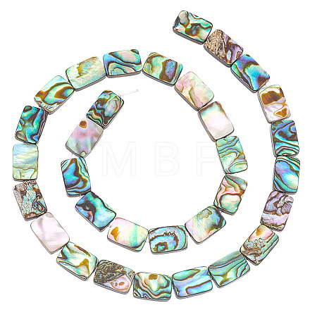 1 Strand Natural Abalone Shell/Paua Shell Beads Strands BSHE-BC0001-12-1