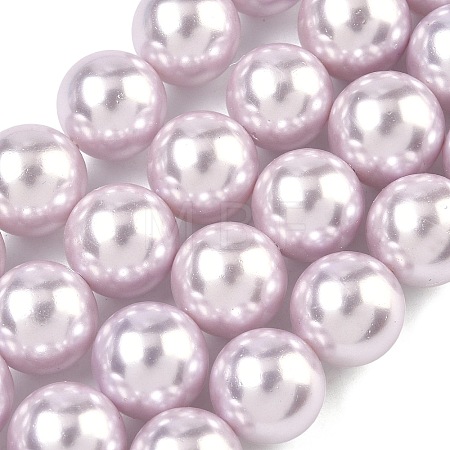 Electroplated Shell Pearl Beads Strands BSHE-G041-14mm-06-1