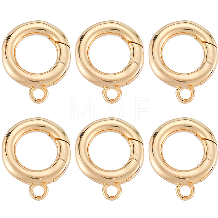 6Pcs Brass Spring Gate Clasps KK-SC0006-42G-01-1