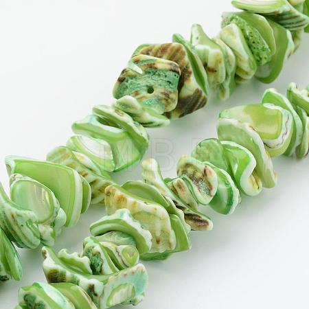 Natural Shell Bead Strands BSHE-P010-05-1