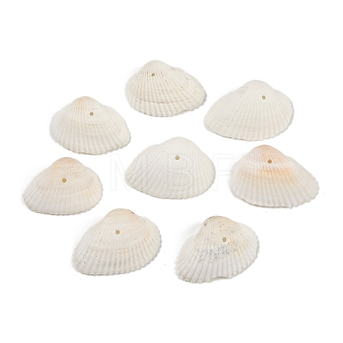 Natural Shell Beads SHEL-K009-15-1