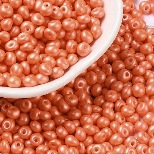 6/0 Glass Seed Beads SEED-L011-08A-20-1