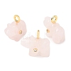 Natural Rose Quartz Carved Pendants G-H357-02G-13-1