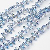 Electroplate Glass Beads Strands X-EGLA-L009-FR05-1