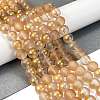 Frosted Transparent Glass Bead Strands X1-GLAA-P065-8mm-02-1