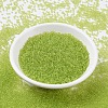 MIYUKI Round Rocailles Beads SEED-G007-RR0143-2