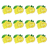 12Pcs Computerized Embroidery Polyester Iron on/Sew on Patches DIY-MA0007-24-1
