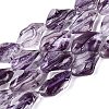 Handmade Lampwork Beads Strands LA-N046-02D-1