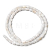 Natural Freshwater Shell Beads Strands SHEL-K006-06-4