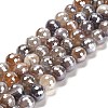 Electroplated Natural Botswana Agate Round Beads Strands G-L598-A03-03-1