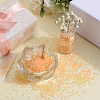 SUNNYCLUE 3 Style Transparent Electroplate Crushed Glass Craft GLAA-SC0001-99B-4