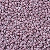 MIYUKI Delica Beads X-SEED-J020-DB0379-2