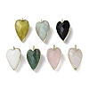 Natural Mixed Stone Pendants G-G012-12G-A-1