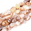 Natural Sea Shell Beads Strands SSHEL-N041-02B-1