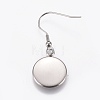 Stainless Steel Dangle Earrings LS-EJEW-WH0001-A02-2