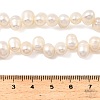 Natural Cultured Freshwater Pearl Beads Strands PEAR-I007-04F-01A-5