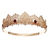 Men's Alloy Rhinestone Crown Hair Bands PW-WGACF08-05-1