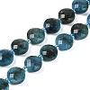 Natural Apatite Beads Strands G-B094-A27-01-2