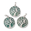 Natural Amazonite Pendants GG-CBA0251-10C-P-1