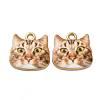 Alloy Enamel Pendants ENAM-V002-04G-01-1