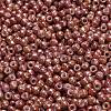 TOHO 6/0 Round Beads SEED-TR06-1201-3