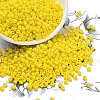 8/0 Glass Seed Beads X2-SEED-A010-3mm-42-1