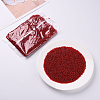 3000Pcs Glass Seed Beads SEED-PA0001-29A-01-4