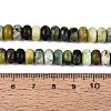 Natural Serpentine Beads Strands G-N367-02A-14-5