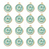 Golden Plated Alloy Enamel Charms ENAM-S118-05C-2