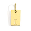 304 Stainless Steel Pendants STAS-Z143-01G-I-1