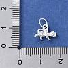 925 Sterling Silver 3D Chinese Zodiac Charms STER-P066-01S-03-3