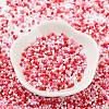 Baking Paint Glass Seed Beads SEED-S042-05B-46-2