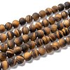 Natural Frosted Tiger Eye Round Bead Strands X-G-M064-10mm-02-1