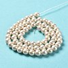 Shell Pearl Bead Strands BSHE-L025-08-6mm-01-3